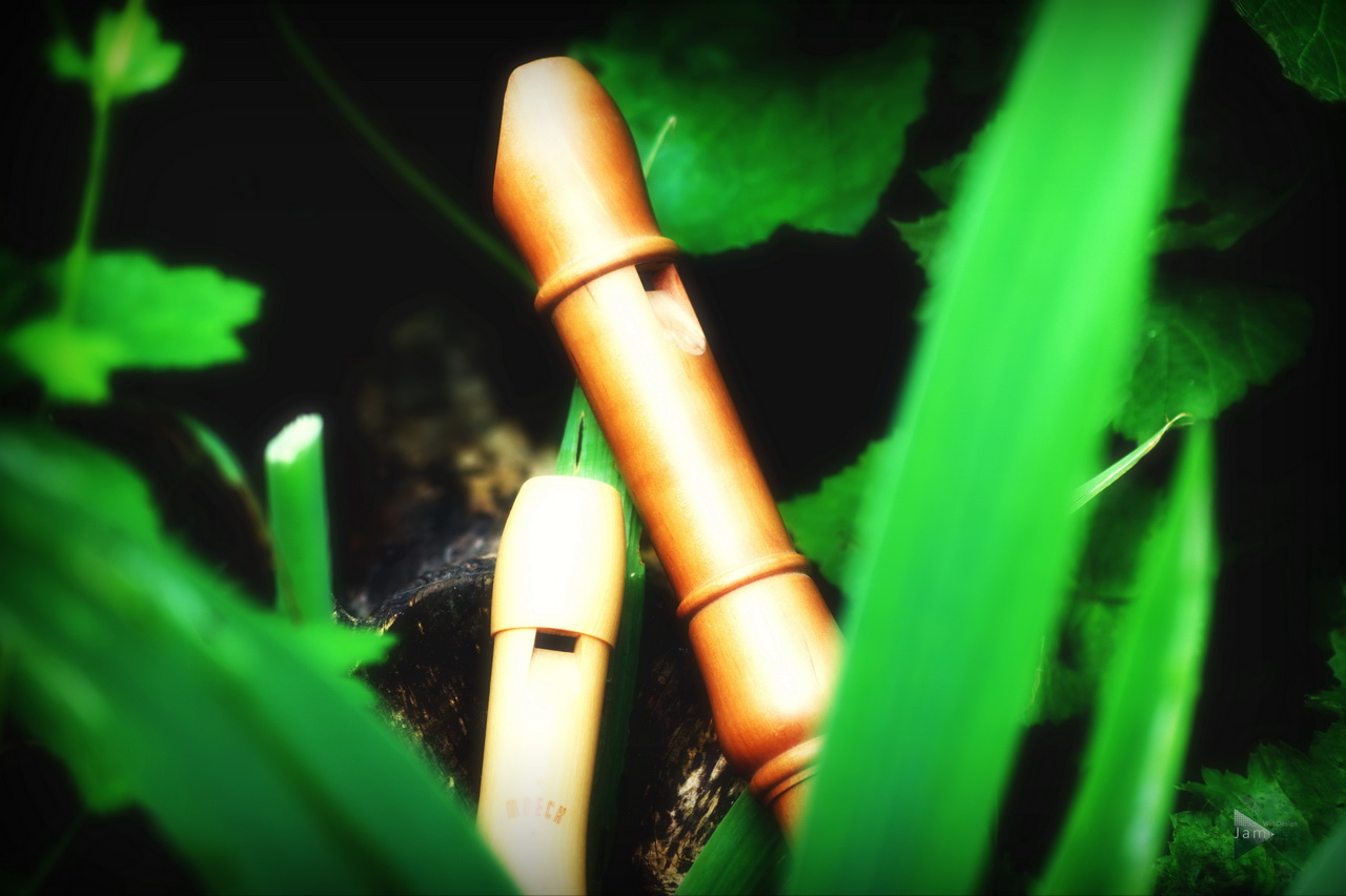 École de Musique de Sélestat | Instruments dans la nature