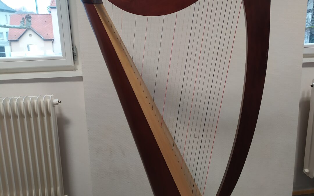 Classe de harpe : Chat chinois